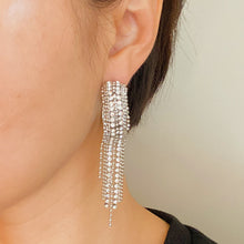 Load image into Gallery viewer, Sparkles on the Hoop Earrings
